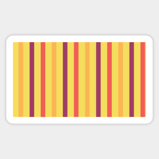 Aiden | Colorful Stripes Pattern Sticker